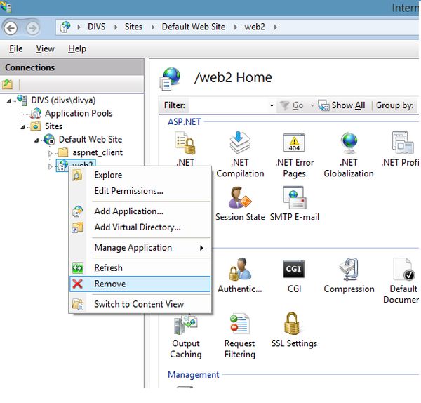 delete the previous application